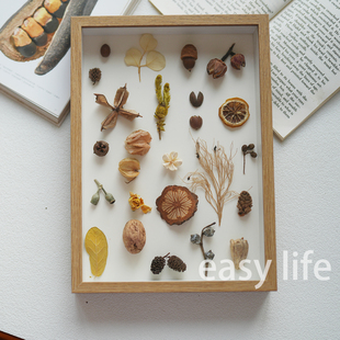 北欧干花果实标本相框原木风自然植物标本立体画框样板间软装 饰品