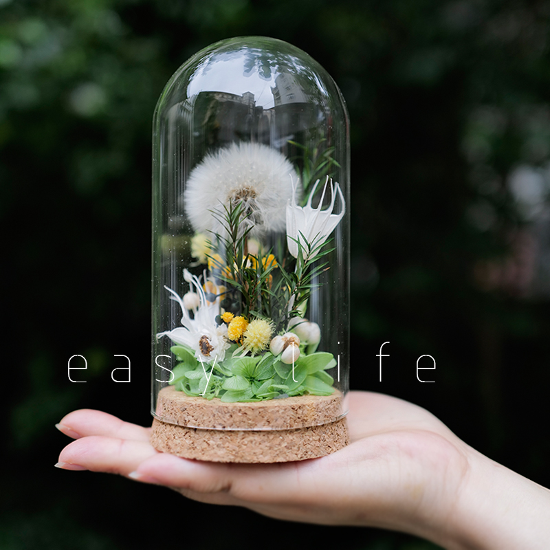 手工创意永生花蒲公英摆件