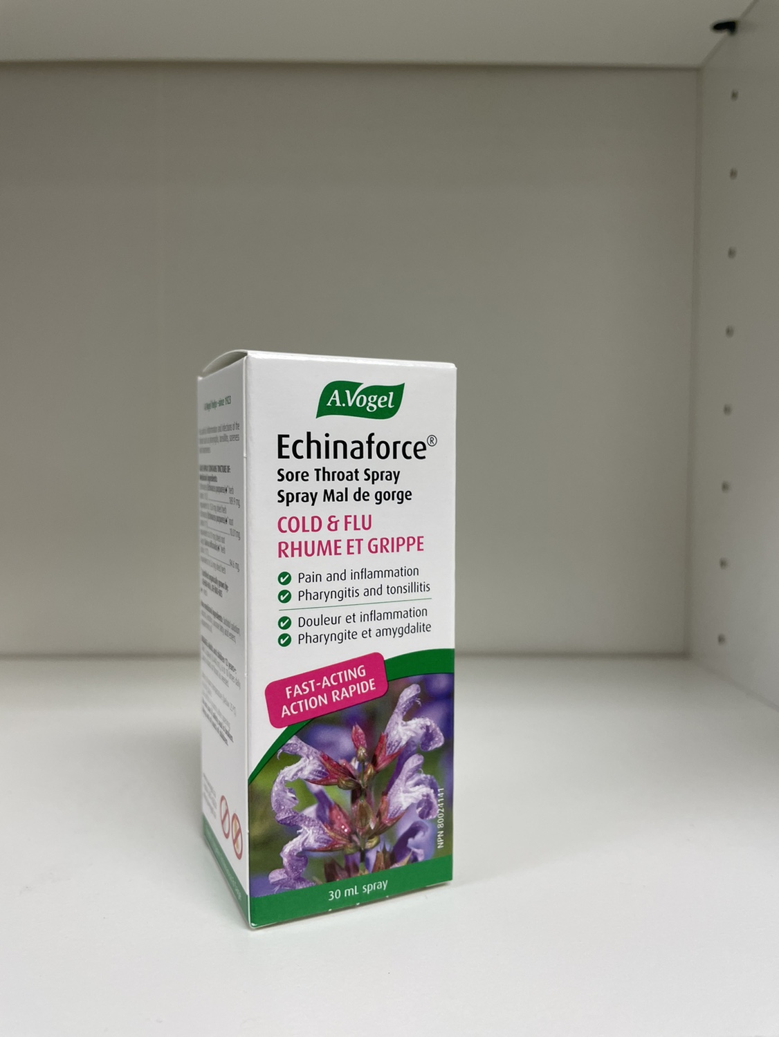 加拿大直邮A.Vogel紫锥菊