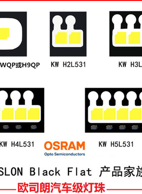 Osram欧司朗2345灯芯LUW CEUP LCY H2L531 KW HJL531白光汽车灯珠