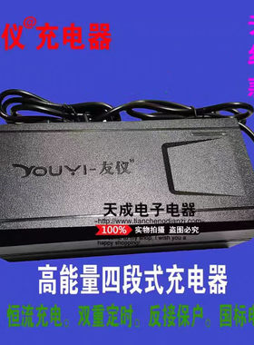 原装正品友仪电瓶车充电器