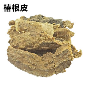 中药材 椿根皮臭椿树根皮 春根皮椿白皮 香椿树皮椿皮 椿根 500克