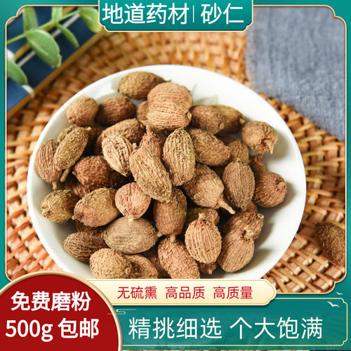 中药材砂仁500g毛包邮沙仁果泡水