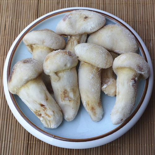 新鲜野生松茸菌冷冻土特产野蘑菇