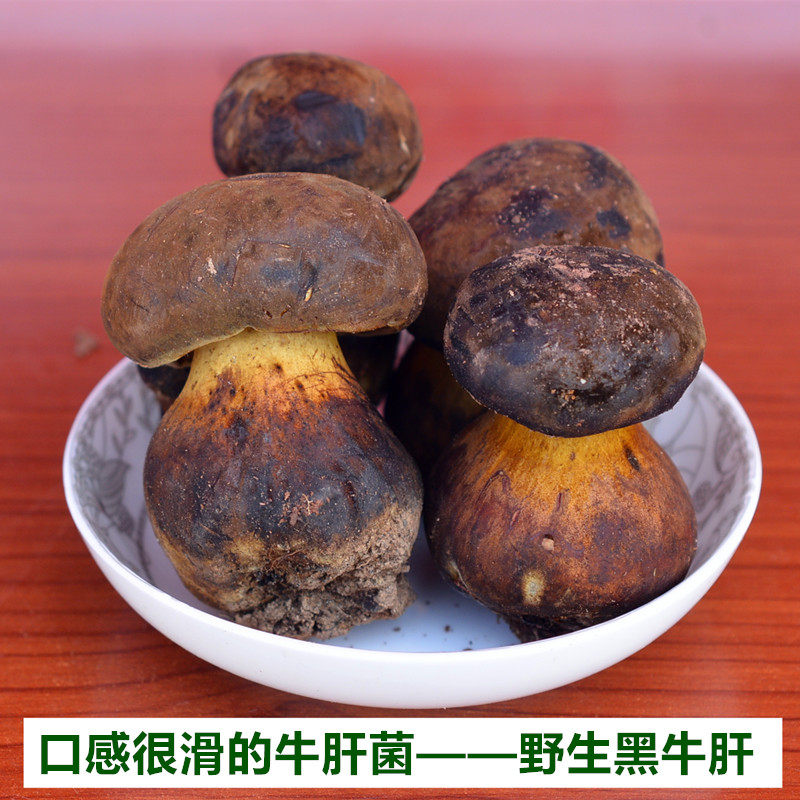 现货新鲜野生黑牛肝菌羊肝菌野生菌蘑菇云南土特产包邮现采口感滑