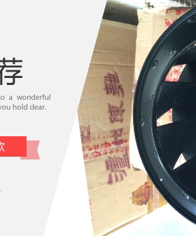 R2E220-AA44-98 -23 R2E220-AA44-C5 -D8 原装ebmpaps t离心风机