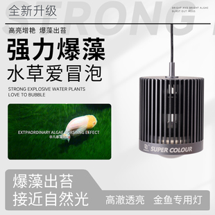 马印新款超色筒灯鱼缸灯升级款爆藻全光谱超亮100w兰寿鱼缸专用灯