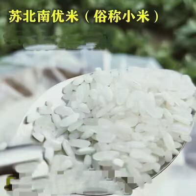 苏北农家南优米杂交米小米