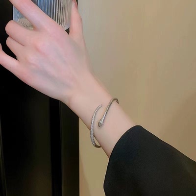 灵蛇手镯 衔尾蛇个性小众百搭简约ins可调节手镯手环冷淡轻奢精致