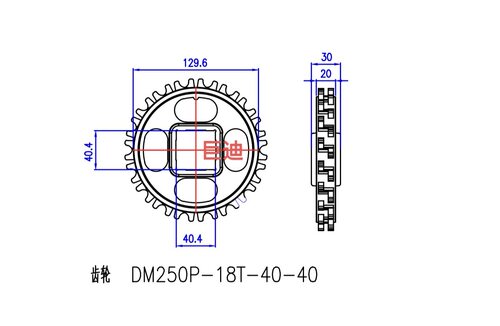 厂家DM250模组网带 瓦楞纸输送带链链 节距25mm  18齿 方孔40x40