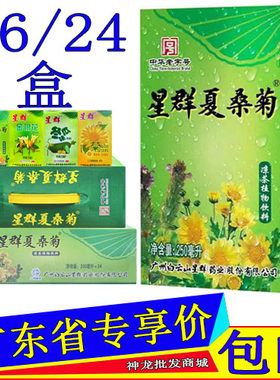 星群夏桑菊凉茶植物饮料整箱装