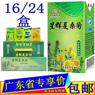 星群夏桑菊凉茶植物饮料250ml/32盒含菊花仙草金银花罗汉果鸡蛋花