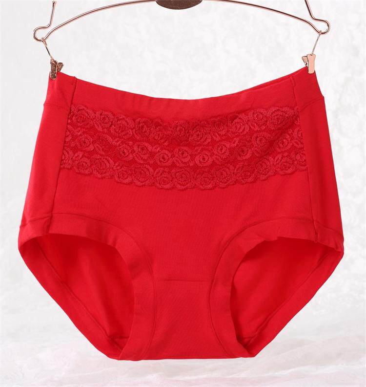 Slip luxueux en coton - Ref 646009 Image 5