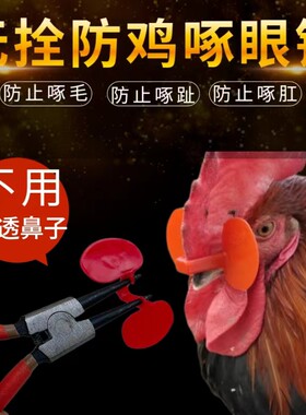 鸡眼罩防啄型鸡眼镜鑫利鸡