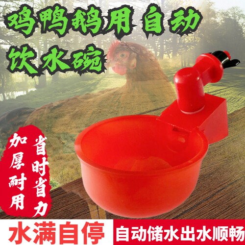 鸡鸭鸽子自动饮水器碗加水器
