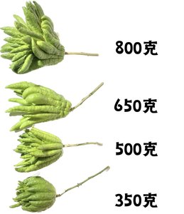 【优选】二狗家佛手福寿来啦天然香薰顺丰包邮鲜花