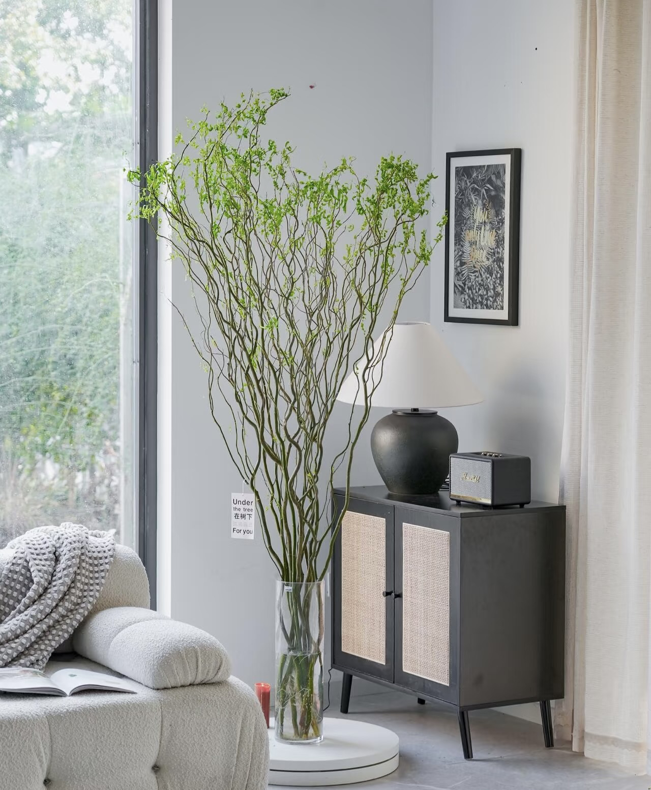 二狗家 绿色龙柳 枯木逢春 水培鲜切枝