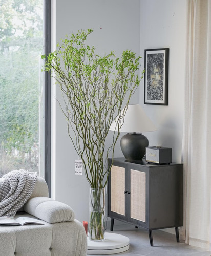 二狗家 绿色龙柳 枯木逢春 水培鲜切枝