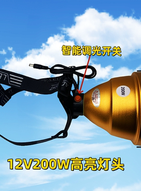 鸿顺户外5到30V宽电压100w200瓦黄光白光蓝光钓鱼灯夜钓激光灯炮