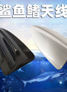 哒坝麟A4LA6LA3鲨鱼鳍天线改装饰