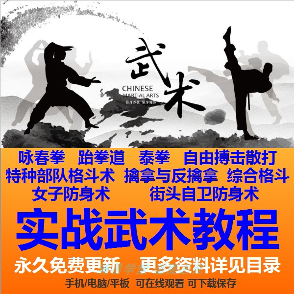 实战武术大全教程咏春拳跆拳道散打擒拿泰拳格斗术防身术入门教学