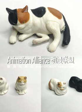 正版散货猫咪可爱卡通创意公仔扭蛋地盘猫怒目猫恶猫潮流摆件装饰