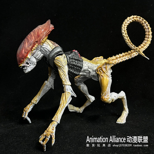 正版散货 拼色7寸n eca异形狗手办大战铁血战士模型可动人偶摆件