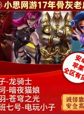 王者送荣耀皮肤墨子龙骑士阿轲暗夜猫娘鲁班电玩小子项羽苍穹之光