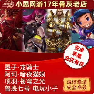 王者送荣耀皮肤墨子龙骑士阿轲暗夜猫娘鲁班电玩小子项羽苍穹之光