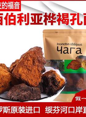 俄罗斯西伯利亚进口桦树茸天然胰岛素白桦茸桦褐孔菌黑金颗粒