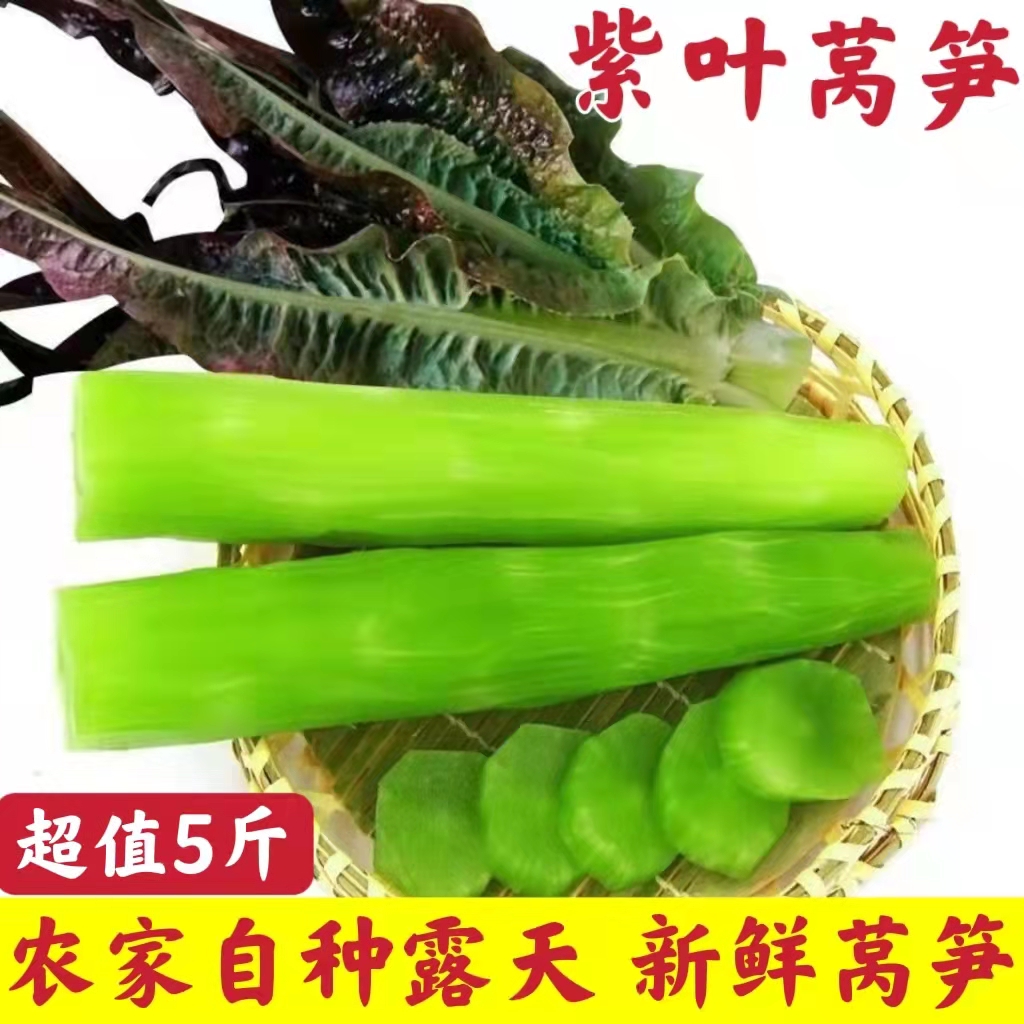 莴笋新鲜紫叶莴苣当季青笋时令香笋湖北应季疏菜农家自种青菜现发