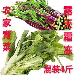 农家红菜苔洪山菜薹新鲜白菜苔青菜苔霜冻菜心时令青蔬菜组装4斤
