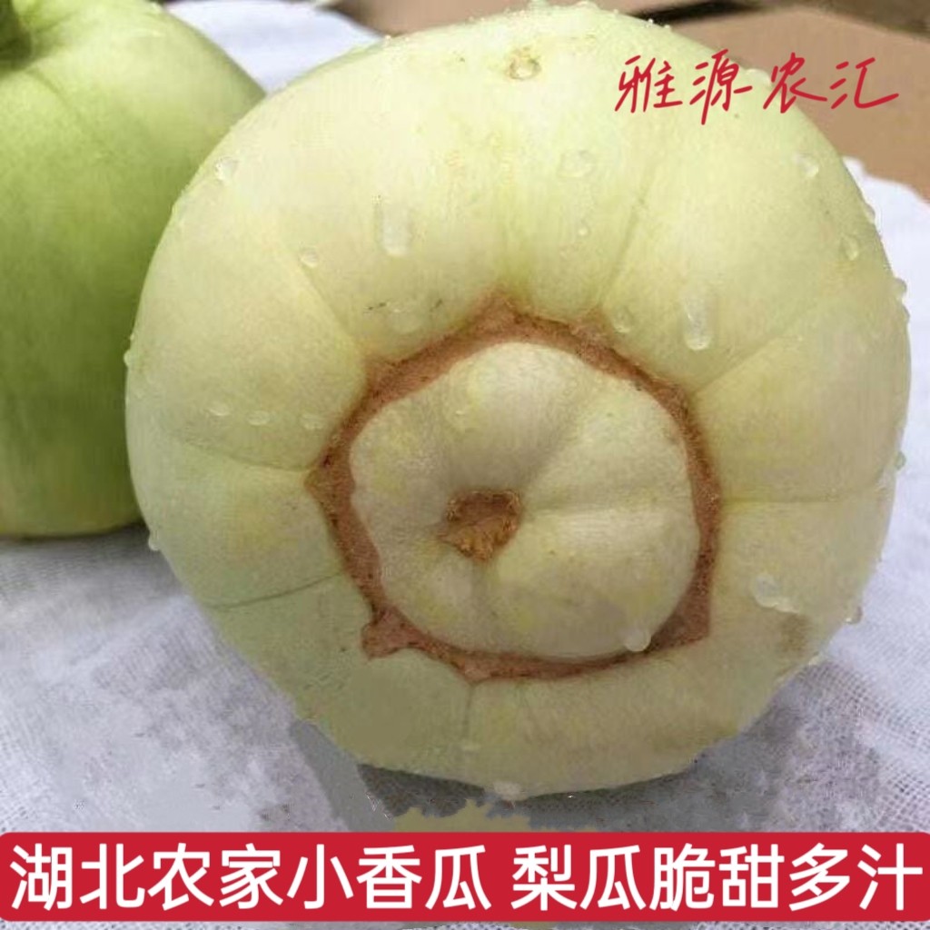 农家自种小香瓜甜瓜