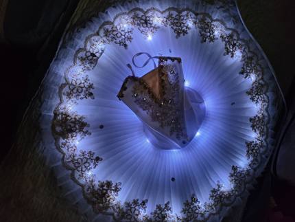 发光3档调节女童芭蕾舞蹈裙成人蓬蓬专业芭蕾舞演出服演出TUTU裙