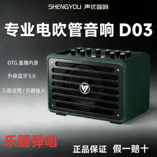 声优音响D03+升级版乐器电吹管k歌吉他弹唱便携蓝牙直播内录音箱