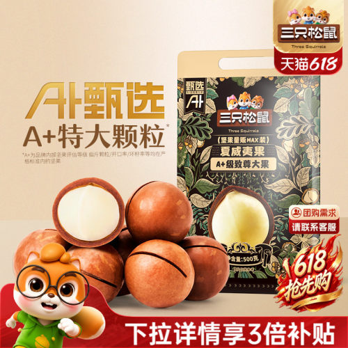 三只松鼠_量贩夏威夷果500g