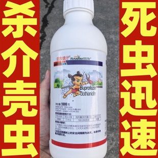 田友速矛30%噻虫胺噻嗪酮 柑橘树介壳虫喷雾可分散油悬浮剂杀虫剂