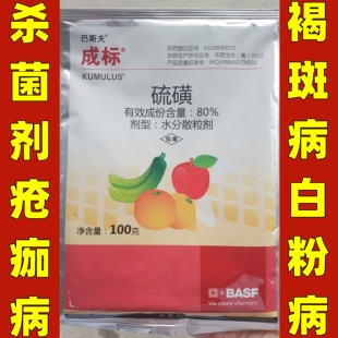 巴斯夫成标80%硫磺水分散粒剂果树疮痂病白粉病褐斑病杀菌剂100克