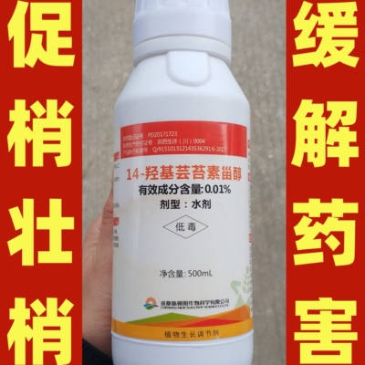 新朝阳胜收14羟基芸苔素甾醇天然水稻柑橘土豆花果植物生长调节剂