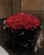 长春鲜花同城速递配送999朵红玫瑰实体花店生日祝福送花上门