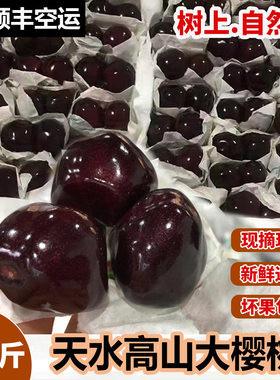 天水高山大樱桃国产车厘子黑珍珠孕妇当季新鲜水果4J现摘现发顺丰