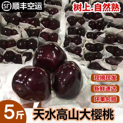 天水高山大套袋大樱桃国产车厘子孕妇当季新鲜水果4J现摘现发顺丰