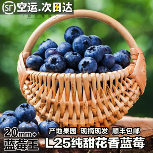 顺丰空运 新鲜水果现摘现发孕妇礼盒装 云南高山L25花香蓝莓 应当季