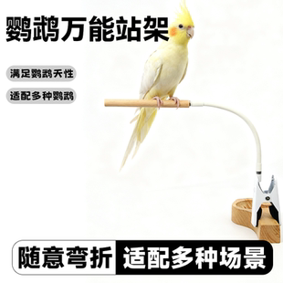 鹦鹉万能站架拉便便垃圾桶站杆随意弯曲虎皮玄凤牡丹定点互动训练