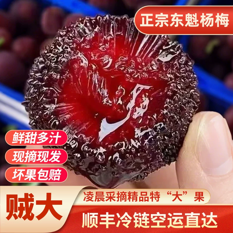 【顺丰冷链】9A精品大果浙江高山东魁杨梅礼盒包装现摘现发空运