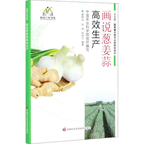 农说生姜价格 农说生姜图片 星期三 农说生姜价格 农说生姜图片 星期三