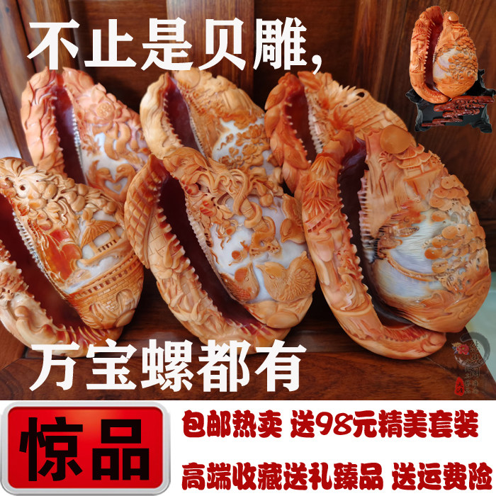 万宝螺贝壳雕刻摆件海螺工艺品