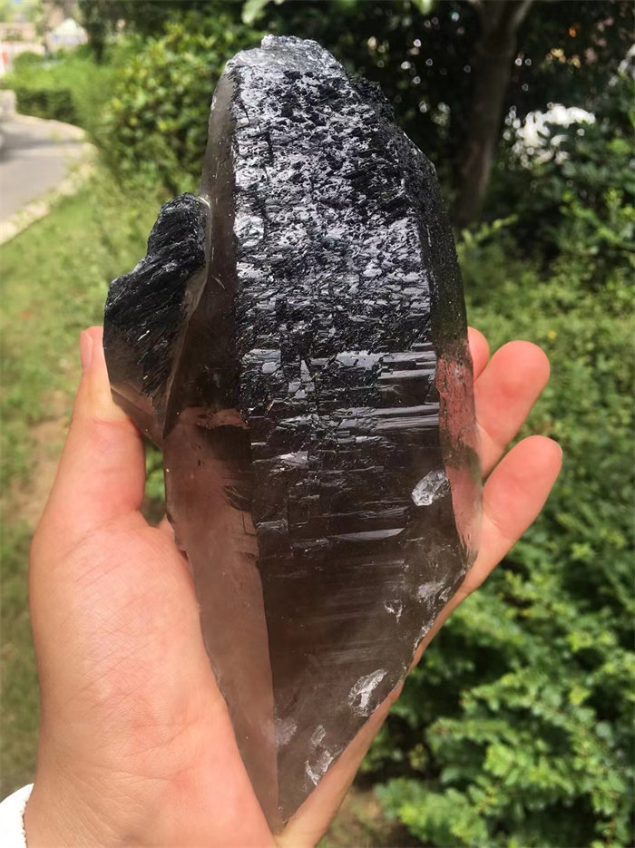 天然茶水晶黑碧玺共生标本骨干原石摆件 一物一图水晶宝石