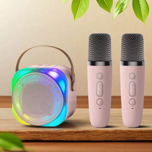 2025年新款蓝牙音响小型户外家用k歌无线音箱话筒带麦克风一体机o