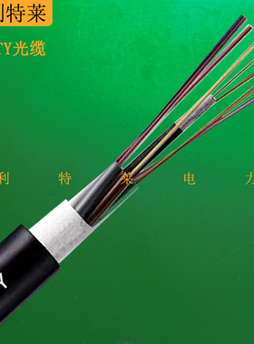 GYFTY光缆 非金属加强芯光缆4芯6芯8芯12芯24芯管道光缆单模阻燃